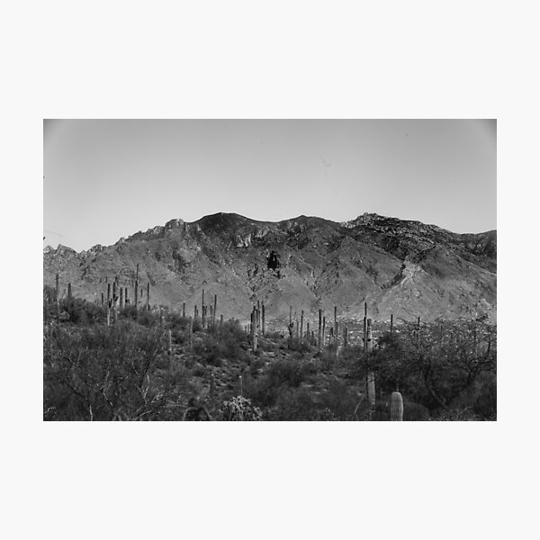 Item preview, This stunning photo captures the beauty of the Tucson desert designed and sold by EyezWatchin.