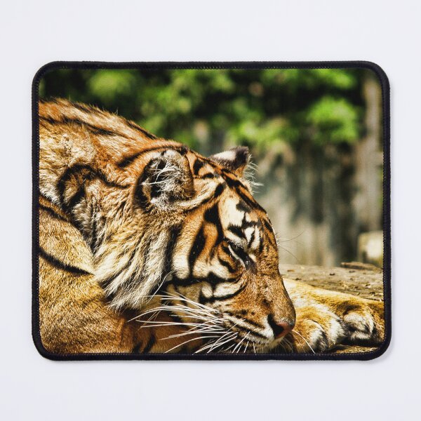 Item preview, Tiger 1 designed and sold by Charles Oliver Creations.