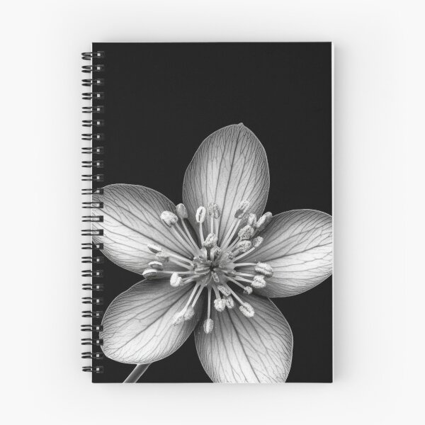 Item preview, Black and White Common Centaury Wild Flower v2 designed and sold by PiranhaEatFashion.