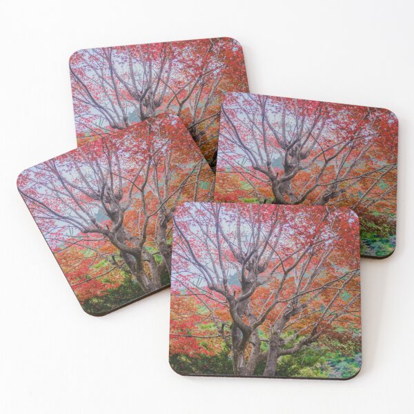 Item preview, Japanese Maple in Mountain Village designed and sold by Pix4Japan.
