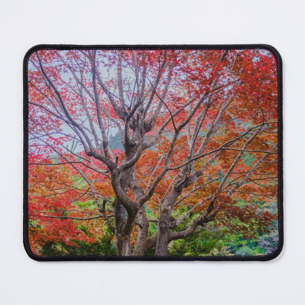 Item preview, Japanese Maple in Mountain Village designed and sold by Pix4Japan.