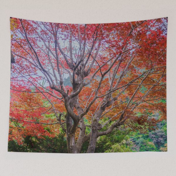 Item preview, Japanese Maple in Mountain Village designed and sold by Pix4Japan.