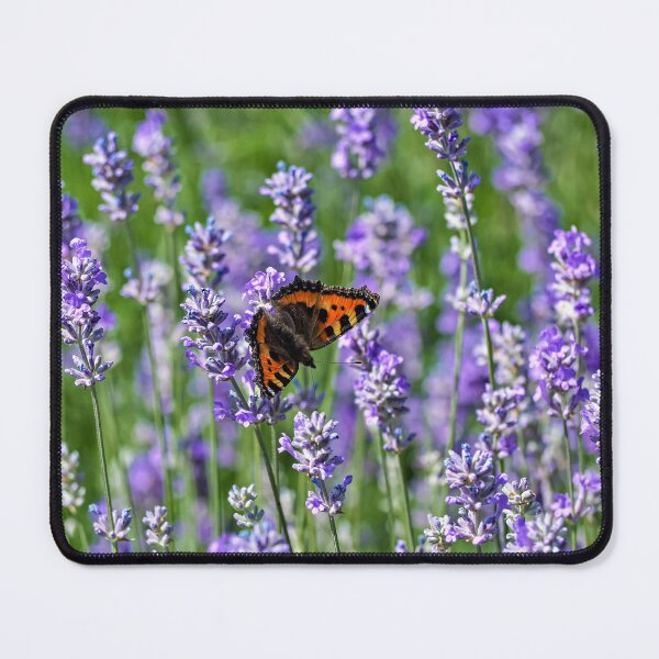 Item preview, Tortoiseshell Butterfly on Lavender designed and sold by ADCImages.