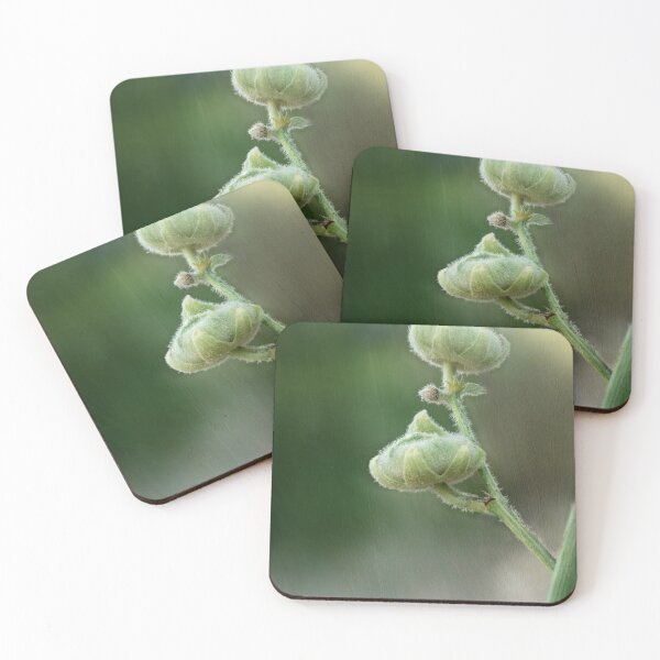 Item preview, Nice plant designed and sold by Shury Vision Art.