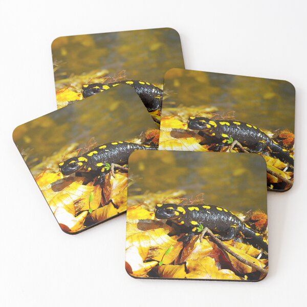 Item preview, a chameleon is looking at you designed and sold by Green studio.