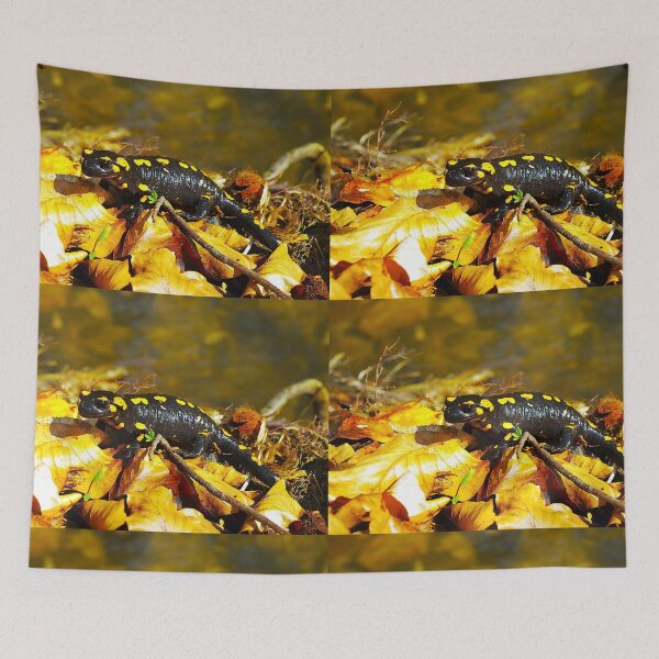 Item preview, a chameleon is looking at you designed and sold by Green studio.