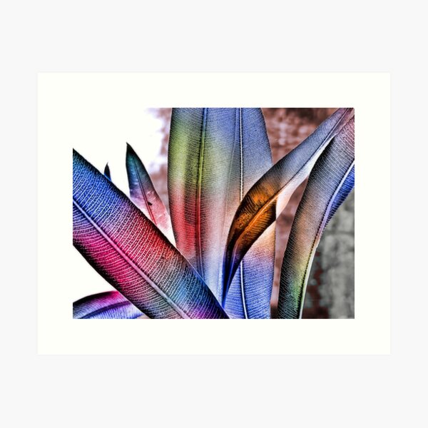 Item preview, Colored Leaves designed and sold by Daniel Janda.