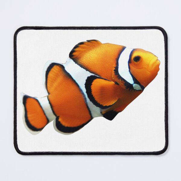 Item preview, A Vibrant Tropical Clownfish designed and sold by fish-city.