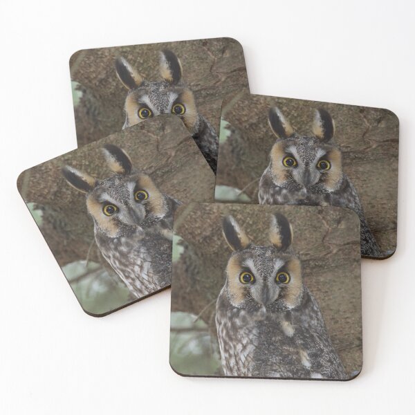Item preview, Long-eared Owl love designed and sold by Erin LeFevre-Josephs.