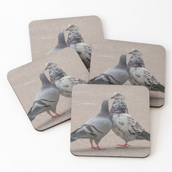 Item preview, Courting Pigeons in the City designed and sold by Gerda Grice Photography.