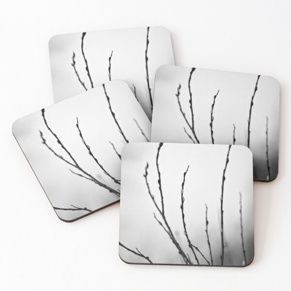 Item preview, Too early this year. Willow catkins 4 bw designed and sold by Jouko Lehto Photography.
