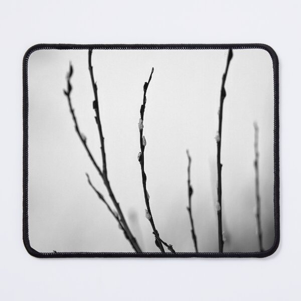 Item preview, Too early this year. Willow catkins 4 bw designed and sold by Jouko Lehto Photography.