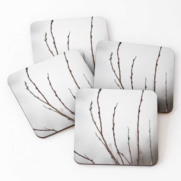 Item preview, Too early this year. Willow catkins 3 designed and sold by Jouko Lehto Photography.