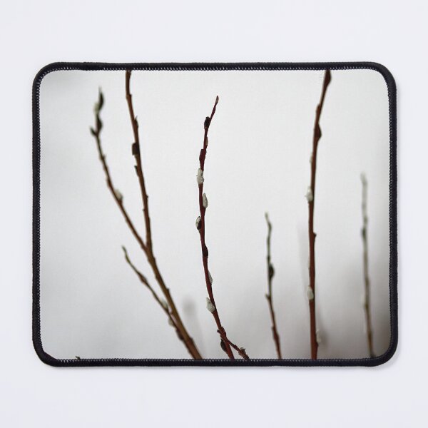 Item preview, Too early this year. Willow catkins 3 designed and sold by Jouko Lehto Photography.