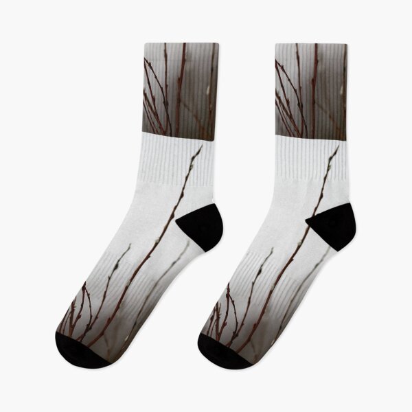 Item preview, Too early this year. Willow catkins 3 designed and sold by Jouko Lehto Photography.