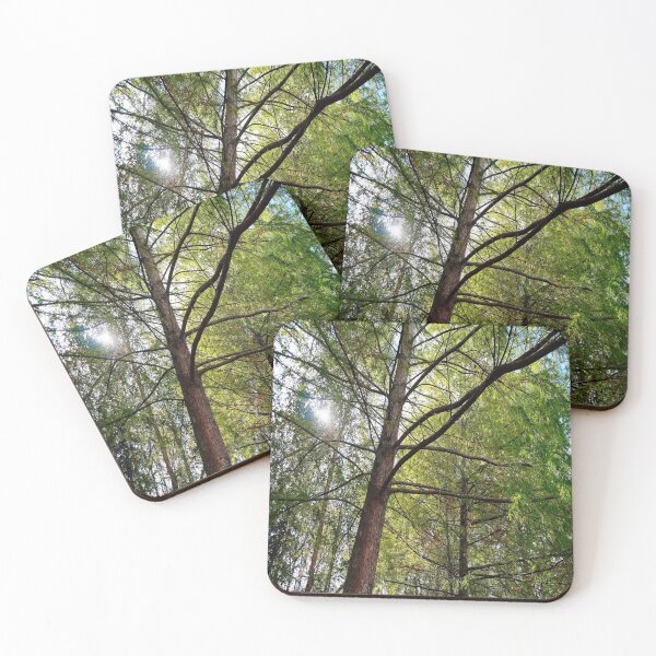 Item preview, Green Forest designed and sold by KIPK.