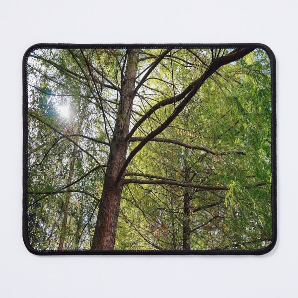 Item preview, Green Forest designed and sold by KIPK.