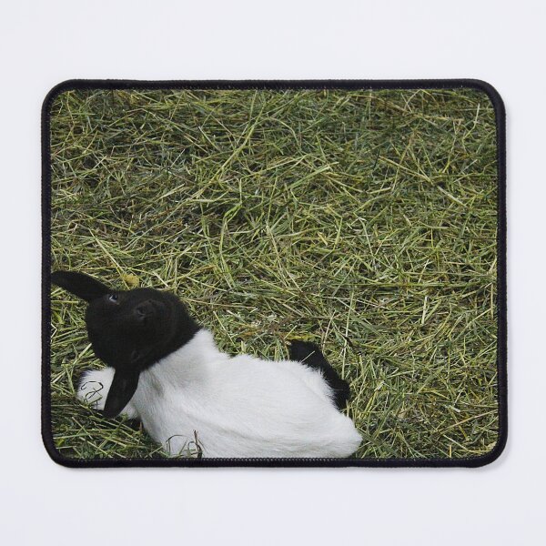 Item preview, Silly Little Goat designed and sold by DylannaFisher.