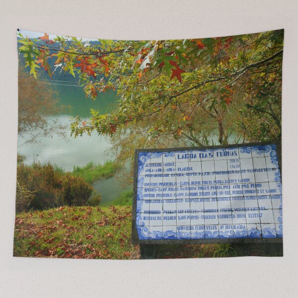 Item preview, Lake and azulejo tiles designed and sold by Gaspar Avila.