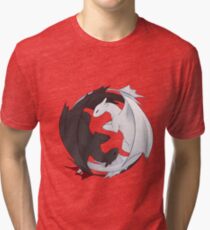 Toothless and the Light Fury Tri-blend T-Shirt