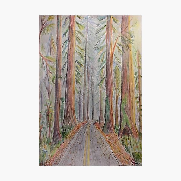 Item preview, Avenue of the Giants designed and sold by Gege-16.