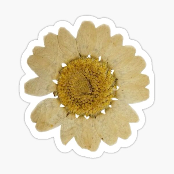 Item preview, Yellow flower designed and sold by artiswhatido.