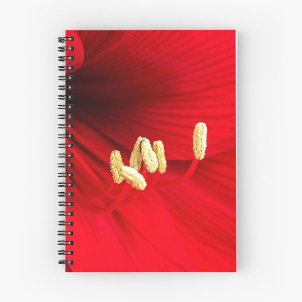 Item preview, Red Amaryllis designed and sold by ADCImages.