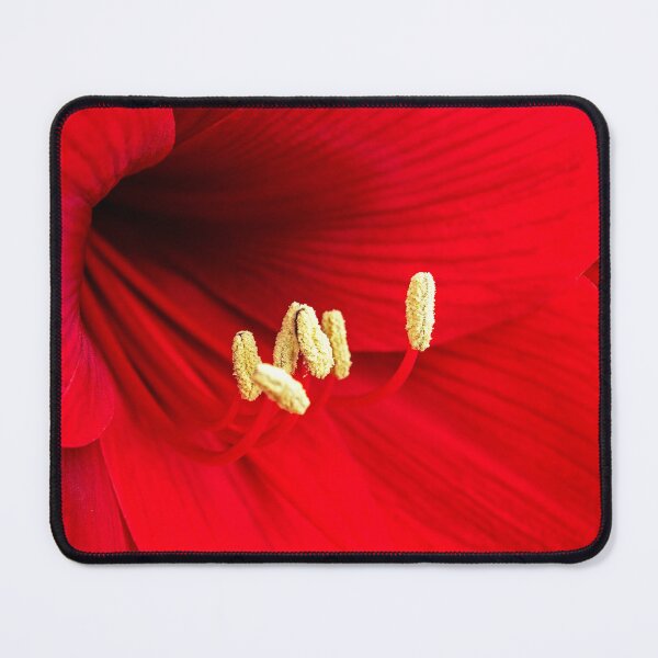 Item preview, Red Amaryllis designed and sold by ADCImages.
