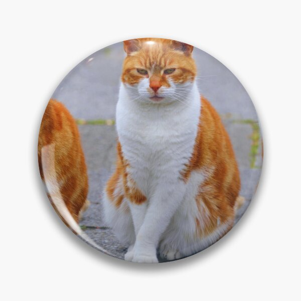 Item preview, Beautiful Kittens designed and sold by Liotheart-2025.