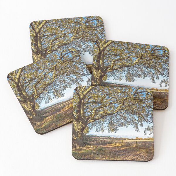 Item preview, Beneath the Oak Tree designed and sold by ADCImages.