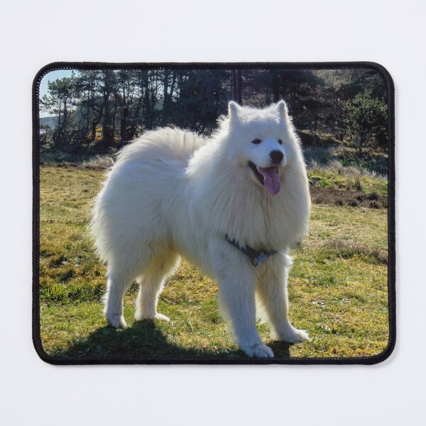 Item preview, The Samoyed designed and sold by Tom McPherson Photography.