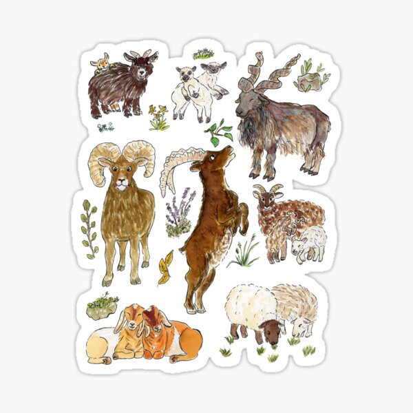 Year of the Goat Sticker