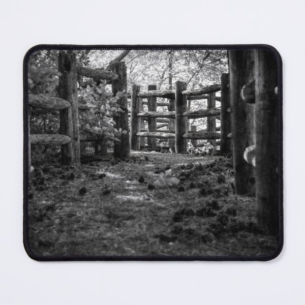 Item preview, Path to the Flume at Ontario Place designed and sold by jrtwynam.