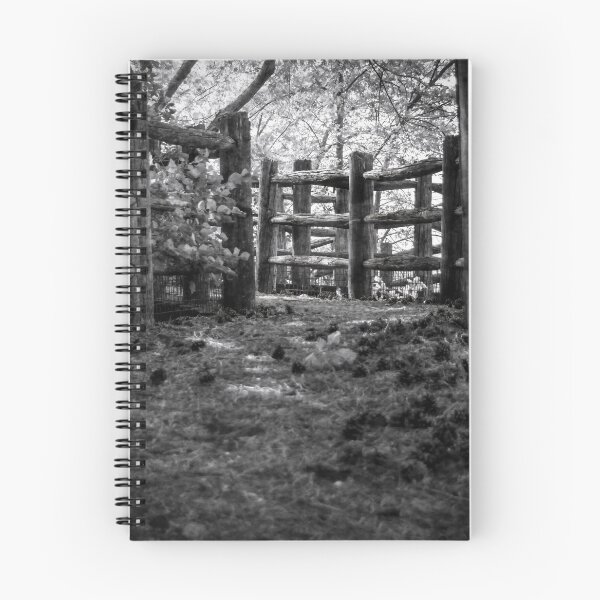 Item preview, Path to the Flume at Ontario Place designed and sold by jrtwynam.