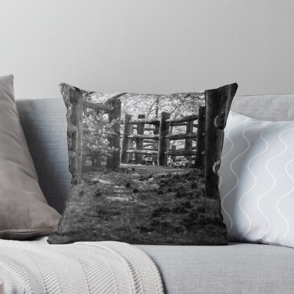 Item preview, Path to the Flume at Ontario Place designed and sold by jrtwynam.