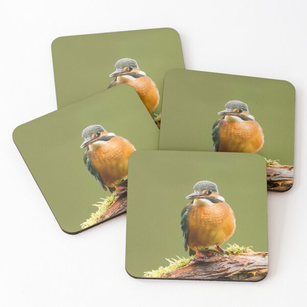 Item preview, Kingfisher  designed and sold by Jane Stanley Photography.
