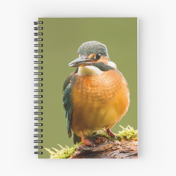 Item preview, Kingfisher  designed and sold by Jane Stanley Photography.