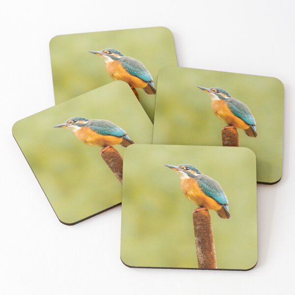 Item preview, Kingfisher and Bullrush designed and sold by Jane Stanley Photography.