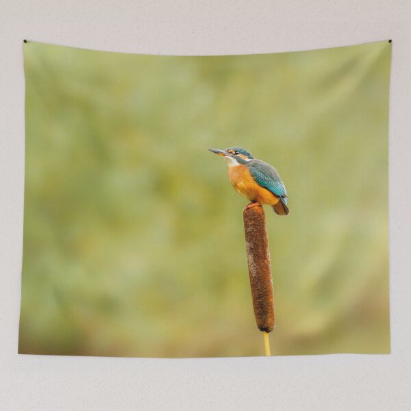 Item preview, Kingfisher and Bullrush designed and sold by Jane Stanley Photography.