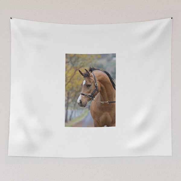 Item preview, Heste Arabique First Impression designed and sold by DiamondR.