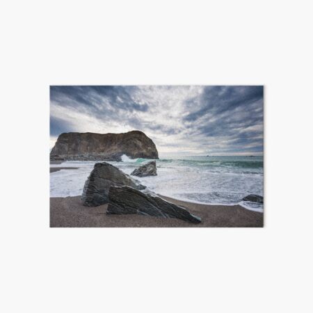 Goat Rock Art Board Print