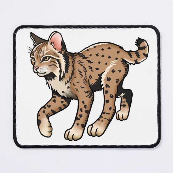 Item preview, Traditional style bobcat | Arizona sticker | desert wildlife designed and sold by DarbyHunterArt.
