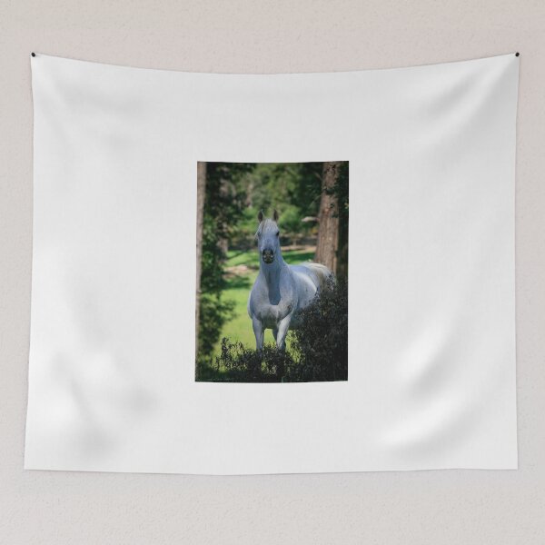 Item preview, Sabtah Nahlah designed and sold by DiamondR.
