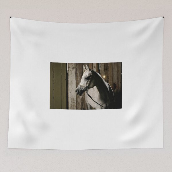 Item preview, Nefisa in the Barn designed and sold by DiamondR.