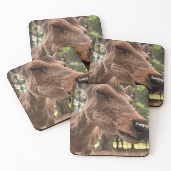 Item preview, SMILE DEER! Nara Park designed and sold by Vuriah-Tee.