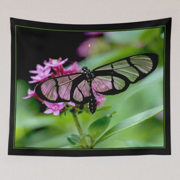 Item preview, BUTTERFLY : Giant Glass Wing Print designed and sold by posterbobs.