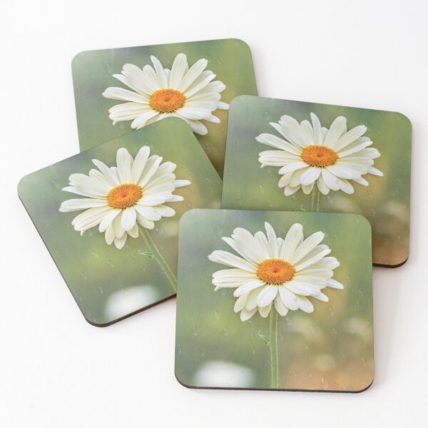 Item preview, Lovely marguerite  designed and sold by Shury Vision Art.