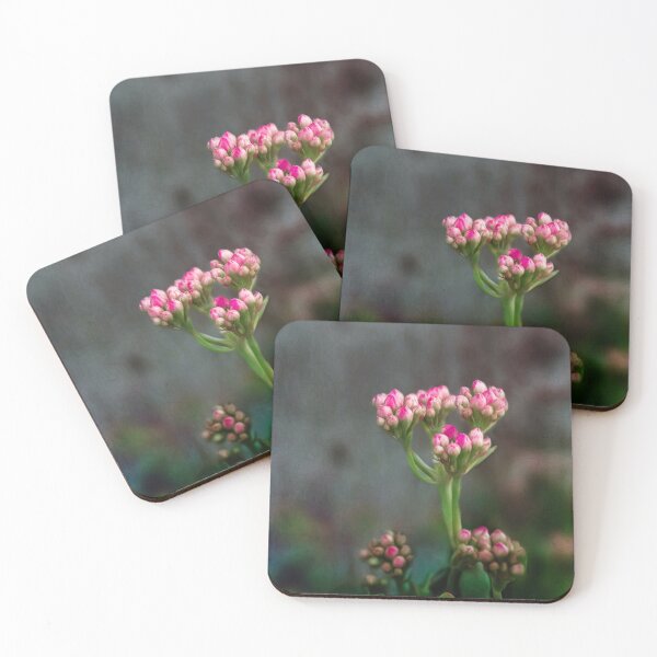 Item preview, Carnation flower  designed and sold by Shury Vision Art.