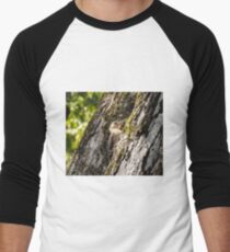 Wood pecker Men's Baseball ¾ T-Shirt