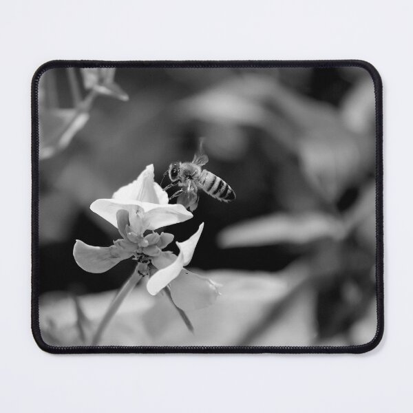 Item preview, Lathyrus pratensis and Bee Black And White designed and sold by MercerImages.